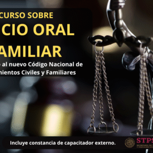 Taller Juicio Oral Familiar de acuerdo al nuevo CNPCF.